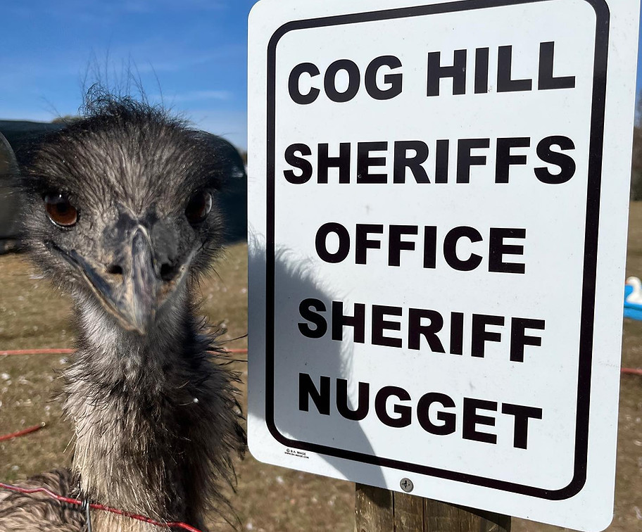 Sheriff Nugget beside the Cog Hill Sheriffs Office sign